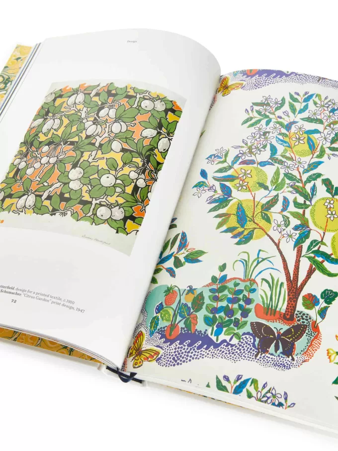 Die Zitrone des Feinschmeckers Die Zitrone des Feinschmeckers