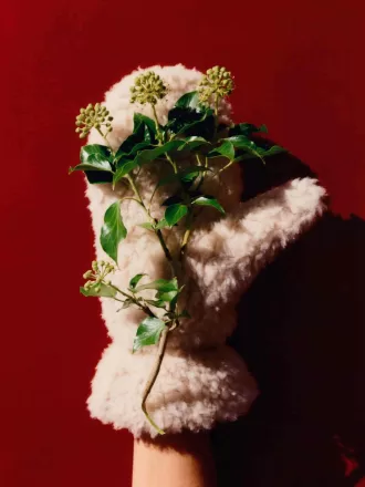 Gepolsterte Florfäustlinge