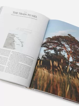 Verwandtschaftsreisen