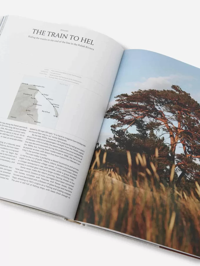 Verwandtschaftsreisen Verwandtschaftsreisen